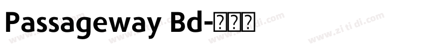 Passageway Bd字体转换